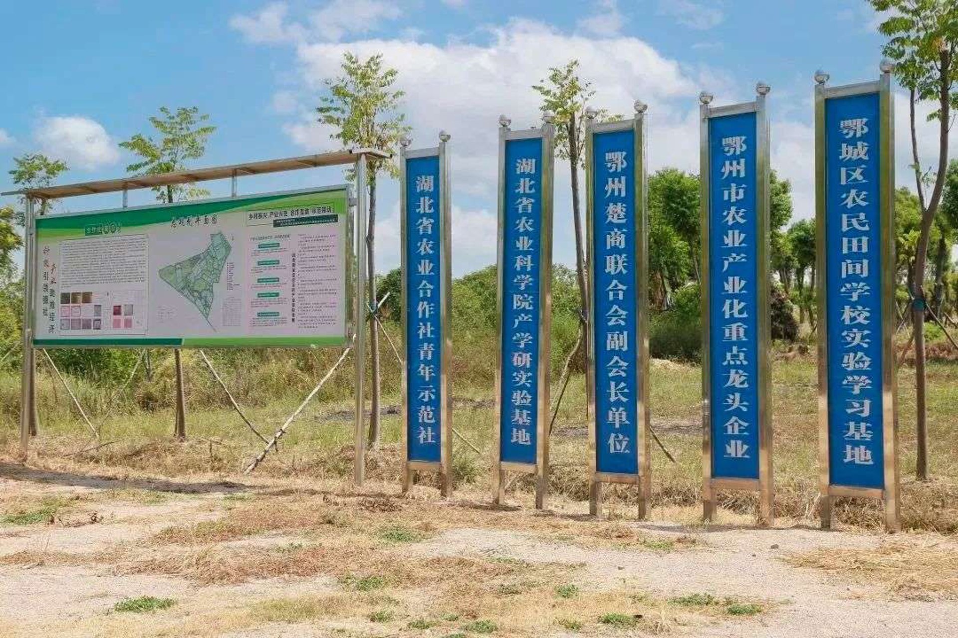 建利苗木