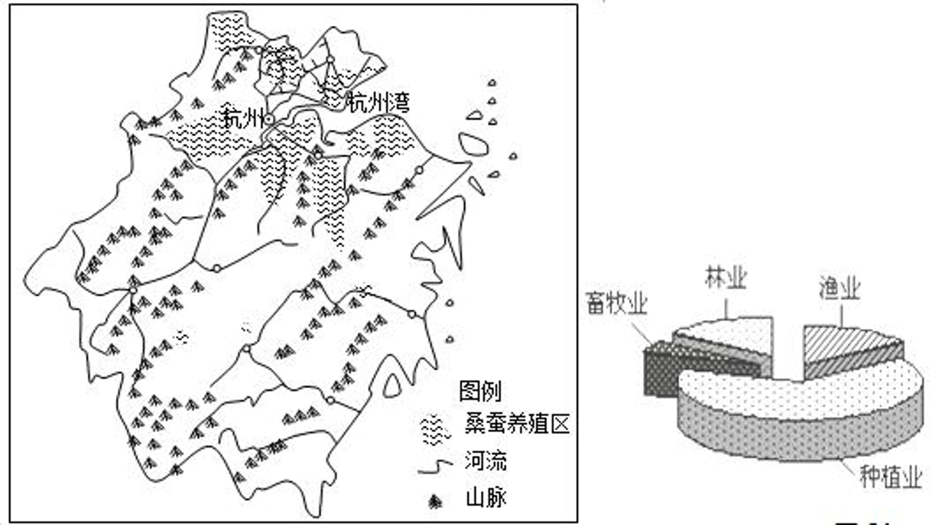 建利苗木