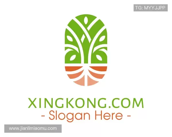 介绍xingkong.com