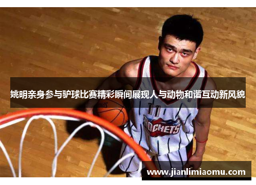 姚明亲身参与驴球比赛精彩瞬间展现人与动物和谐互动新风貌