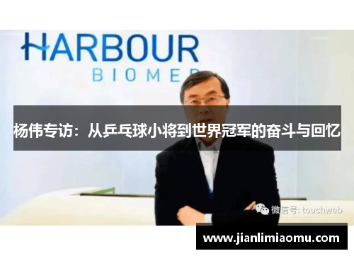 杨伟专访：从乒乓球小将到世界冠军的奋斗与回忆