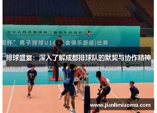 排球盛宴：深入了解成都排球队的默契与协作精神