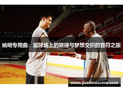 姚明专用曲：篮球场上的旋律与梦想交织的音符之旅