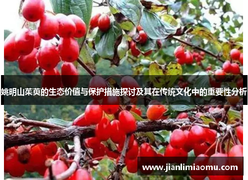 姚明山茱萸的生态价值与保护措施探讨及其在传统文化中的重要性分析